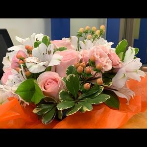 Meet your Posher, Shannon